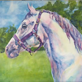 Lipizzan horse painting